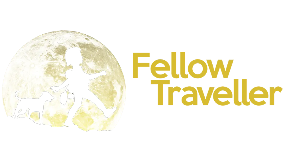 Fellow Traveller event artwork.