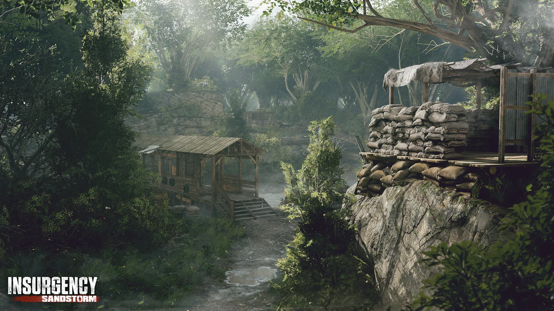 An abandoned airbase overtaken by nature