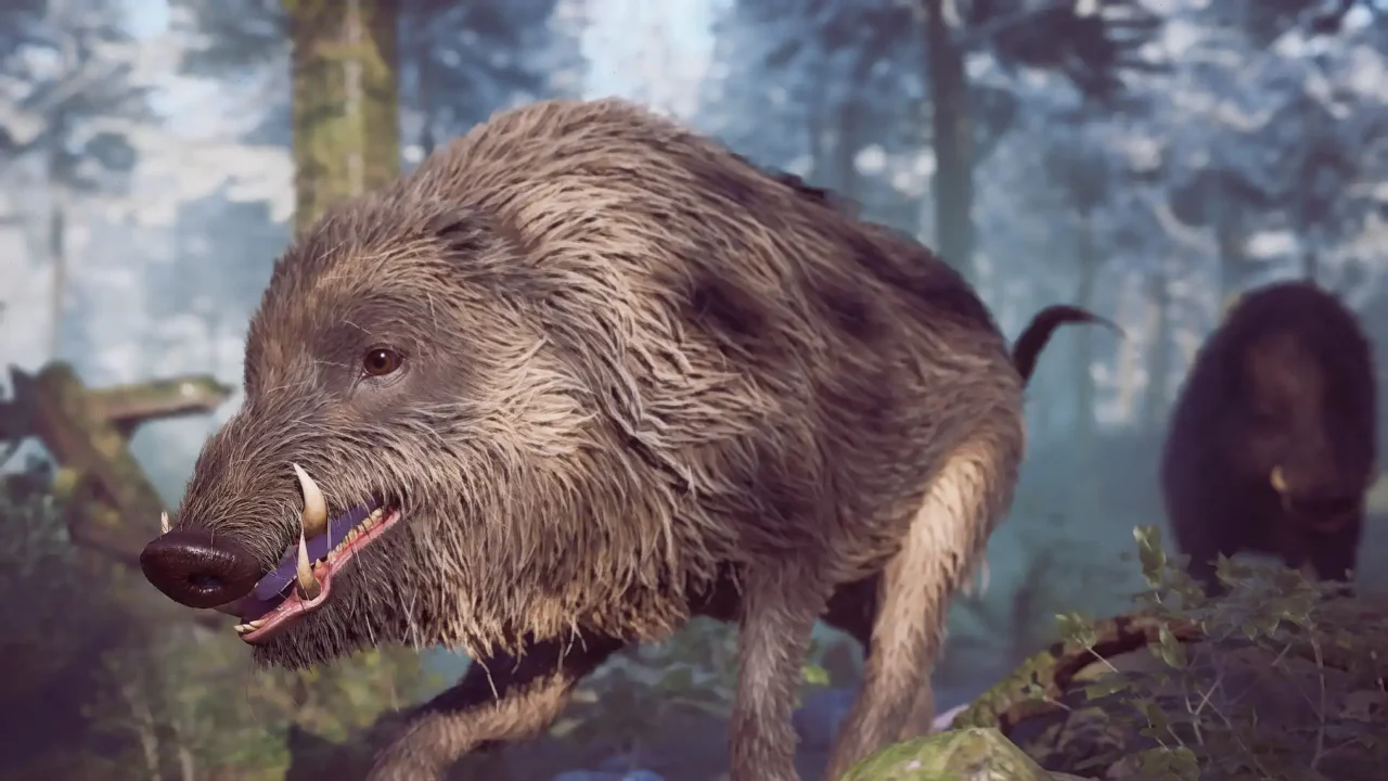 Close-up of a snarling wild boar charging through the snowy forest in Winter Survival.