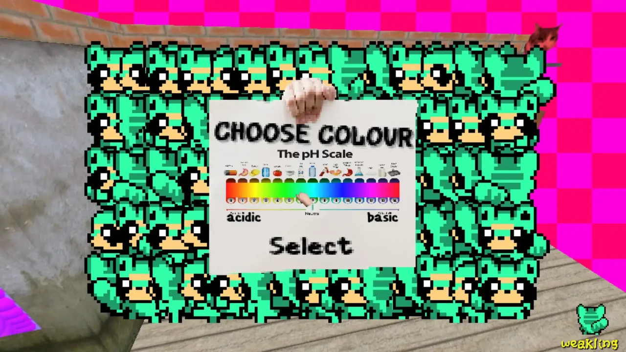 Funi Raccoon Game screenshot showing a humorous colour selection screen surrounded by repeated pixel raccoon characters